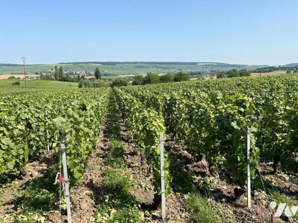 BELVAL SOUS CHATILLON