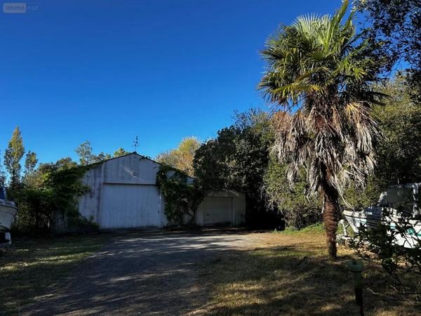 Achat - Maison La Barre-de-Monts 85550 3 pièces 59 m 2 2501 m 2