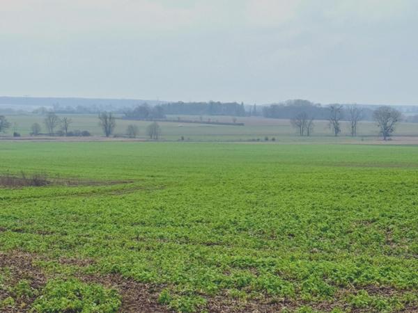 Terrain à vendre proche de GRISY LES PLATRES (95)