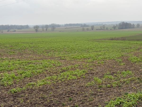 Terrain à vendre proche de GRISY LES PLATRES (95)