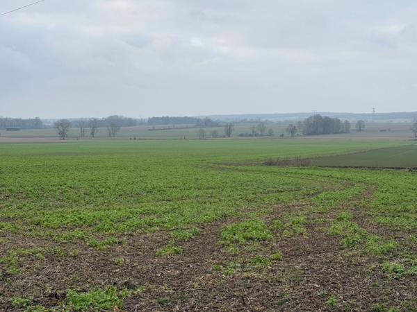 Terrain à vendre proche de GRISY LES PLATRES (95)