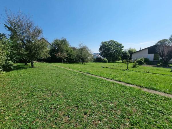 À Vendre : Terrain Constructible à Sarrebourg
