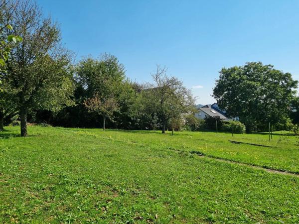 À Vendre : Terrain Constructible à Sarrebourg