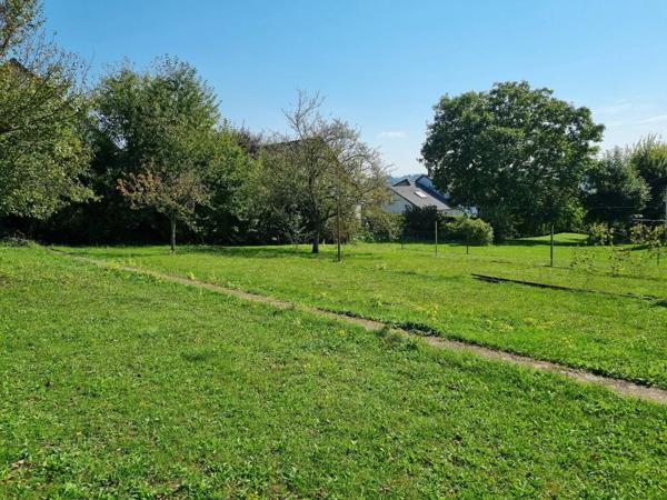 À Vendre : Terrain Constructible à Sarrebourg