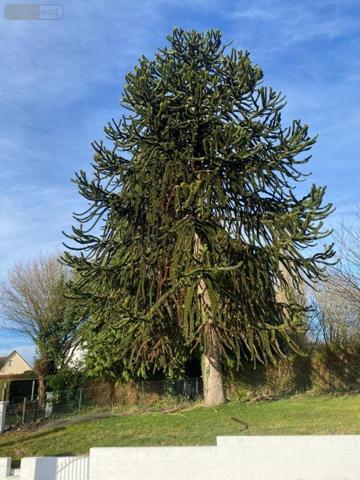 Maison à louer à Tourville-la-Campagne dans l'Eure (27370), ref : 76025-L2