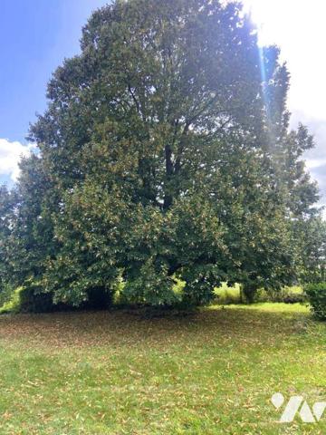 Maison contemporaine