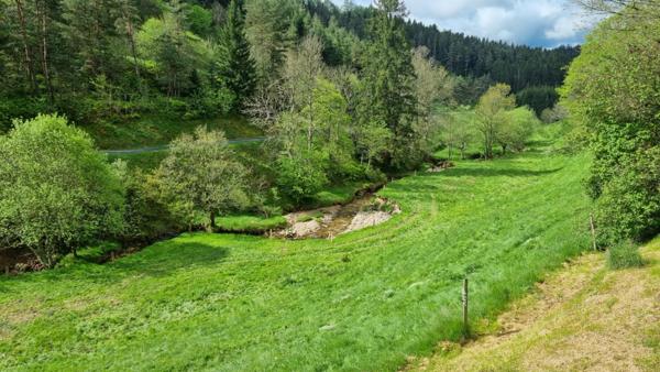 A 8 km de Riotord 43220 secteur Clavas ferme rénovée de 189m² + dépendances sur 5310m² de terrain attenant et 8920m² de terrain non attenant avec ruisseaume 189m² habitables 4 chambres