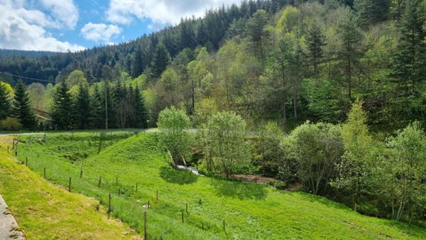 A 8 km de Riotord 43220 secteur Clavas ferme rénovée de 189m² + dépendances sur 5310m² de terrain attenant et 8920m² de terrain non attenant avec ruisseaume 189m² habitables 4 chambres