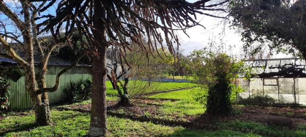 Vente / Maison avec dépendance