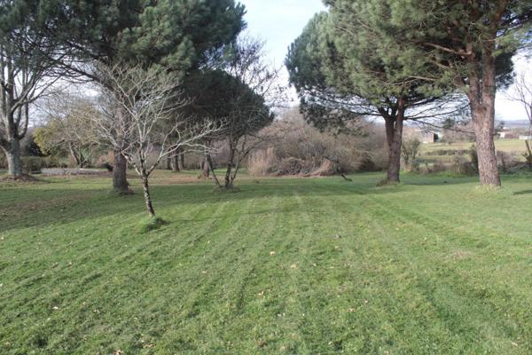 Maison familiale spacieuse avec grande terrasse et terrain arboré