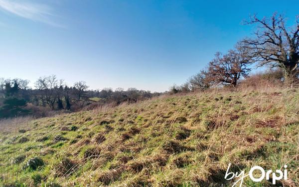 Maison à vendre    5 pièces •  Durdat-Larequille