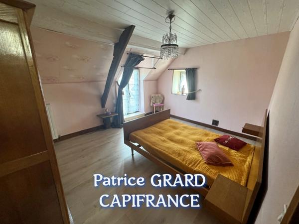 Propriete à vendre 11 pièces et 9 chalets aménagés