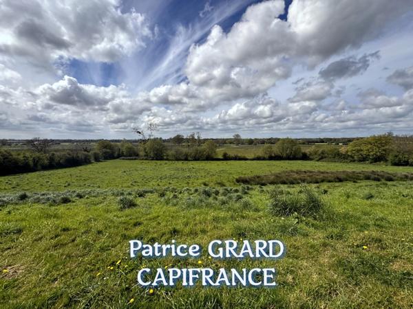 Propriete à vendre 11 pièces et 9 chalets aménagés