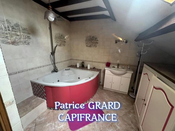 Propriete à vendre 11 pièces et 9 chalets aménagés