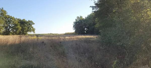 Terrain constructible avec bois Montaigu-de-Quercy