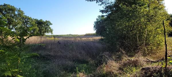 Terrain constructible avec bois Montaigu-de-Quercy
