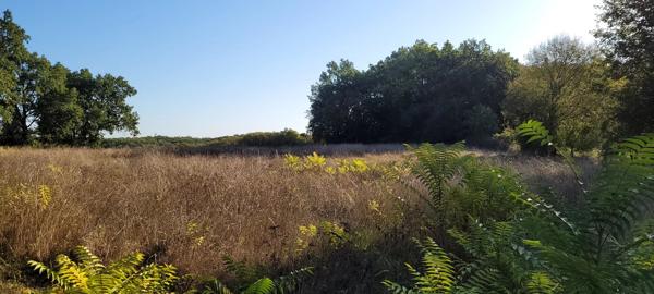 Terrain constructible avec bois Montaigu-de-Quercy
