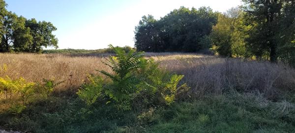 Terrain constructible avec bois Montaigu-de-Quercy