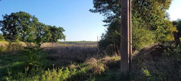 Terrain constructible avec bois Montaigu-de-Quercy