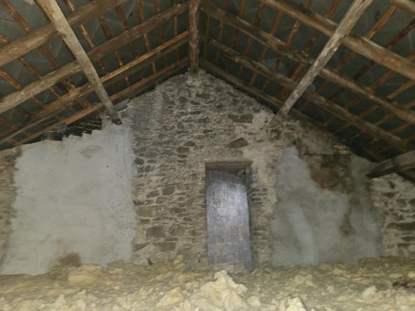 Maison de bourg avec jardin
