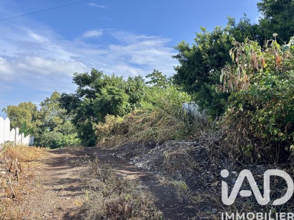 Terrain à vendre 1 831 m² Saint-Leu