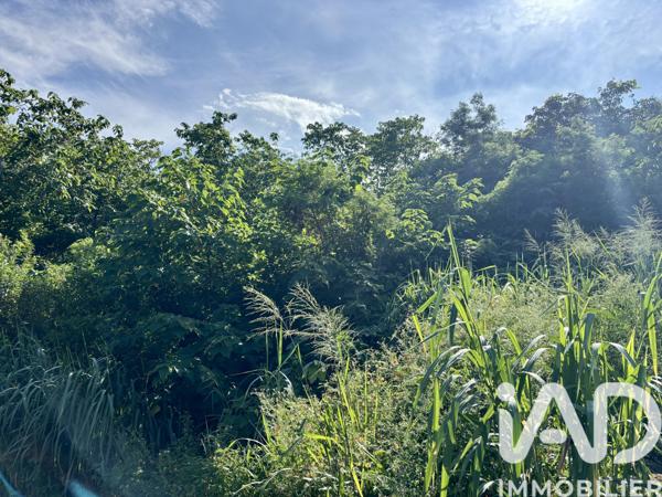 Terrain à vendre 1 831 m² Saint-Leu