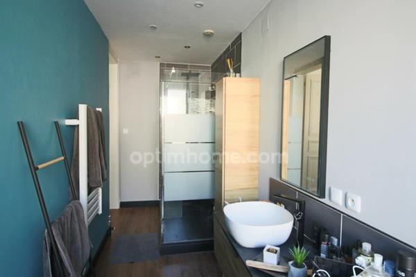 Lannoy limite Hem - Rare maison de maître 430 m2 habitables 12 pièces