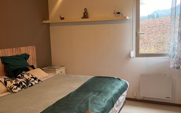 Appartement à louer    2 pièces •  La Roche-sur-Foron