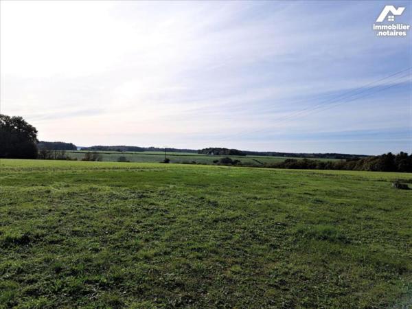 Maison de 3 chambres sans voisins sur 1,6 hectare