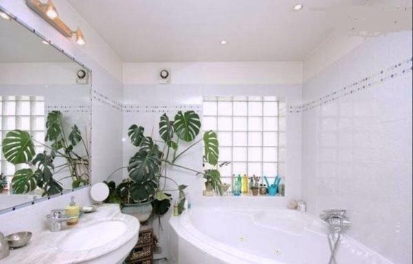 Maison d'architecte 200 m2 - Limite Paris 20e