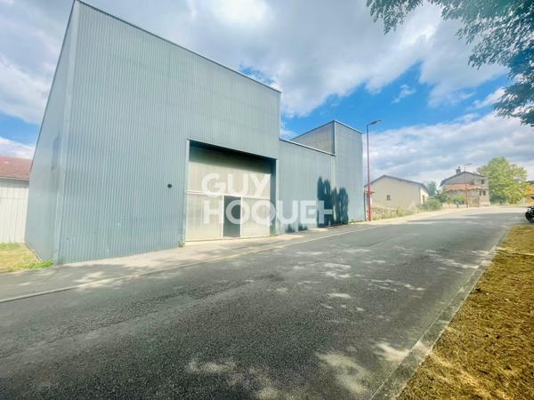 LOCAL PROFESSIONNEL à vendre de 530 m²