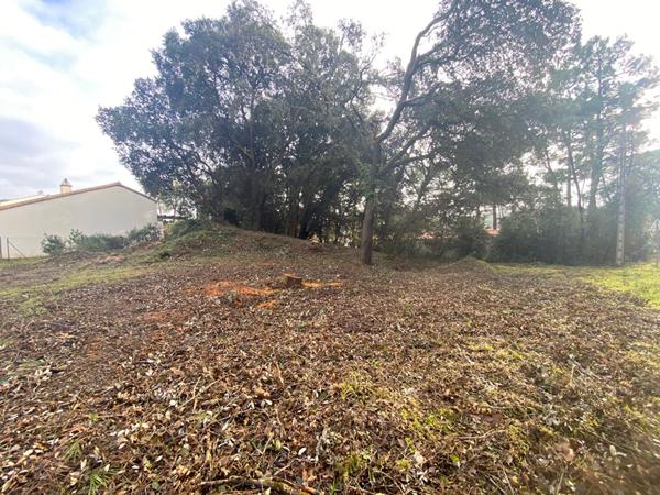 Parc des Quichenottes