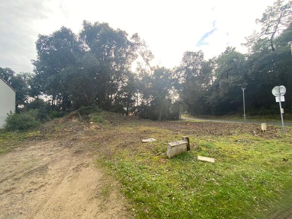 Parc des Quichenottes