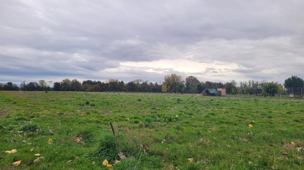 TERRAIN 5000M²: Permis DEJA ACCEPTE!