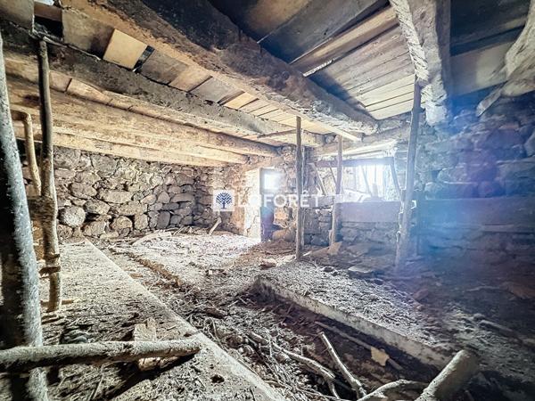 Achat maison Laguiole - 2 pièce(s) - 270 m² - 56 000 €