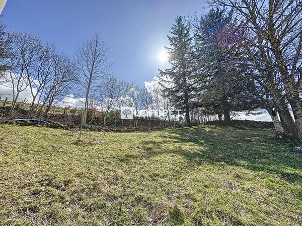 Achat maison Laguiole - 2 pièce(s) - 270 m² - 56 000 €