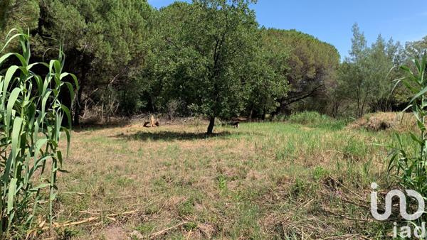 Terrain à vendre 559 m² Fréjus