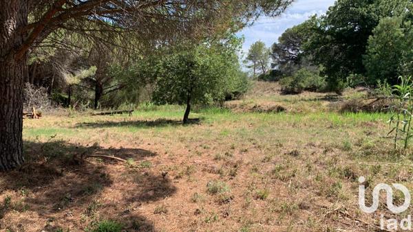 Terrain à vendre 559 m² Fréjus