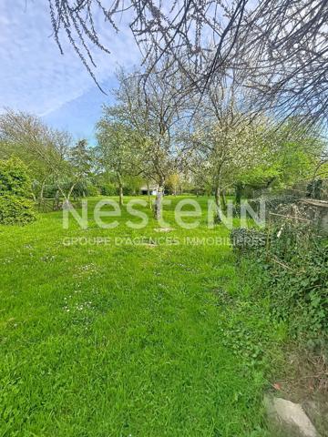 A vendre sur La Ménitré proche des bords de Loire, maison familiale, sous-sol complet, 4 chambres plus un grenier, terrain paysager de plus de 2000m²,cave, puits.