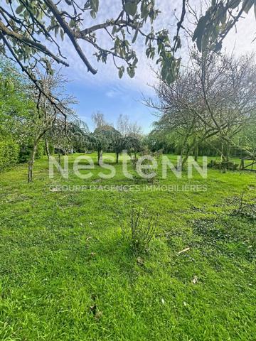 A vendre sur La Ménitré proche des bords de Loire, maison familiale, sous-sol complet, 4 chambres plus un grenier, terrain paysager de plus de 2000m²,cave, puits.