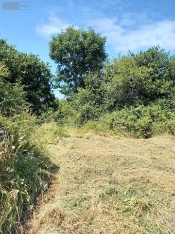 Terrain à Batir à vendre à Camaret-sur-Mer dans le Finistère (29570), ref : 3072-70