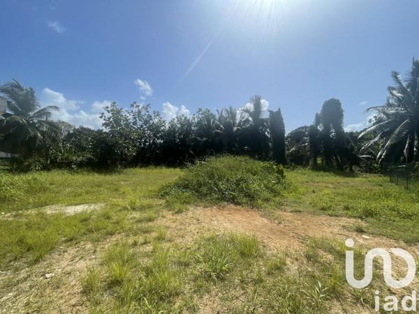 Terrain à vendre 354 m² Baie-Mahault