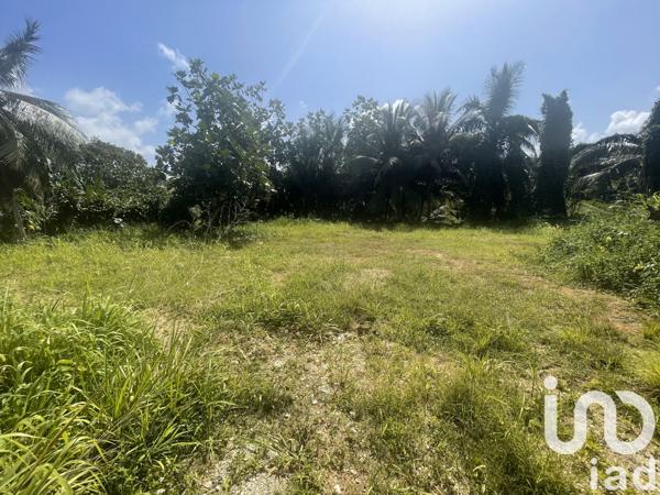 Terrain à vendre 354 m² Baie-Mahault