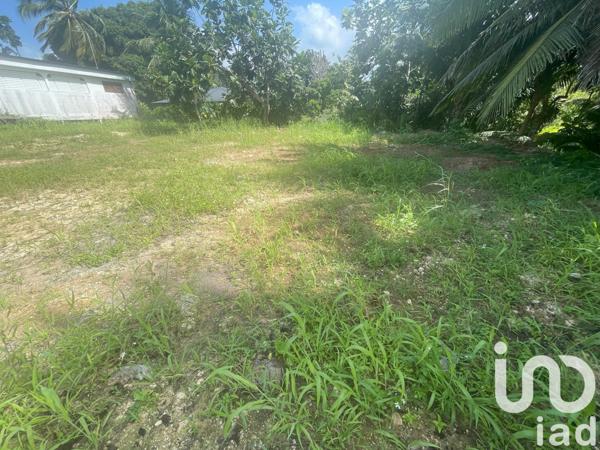 Terrain à vendre 354 m² Baie-Mahault