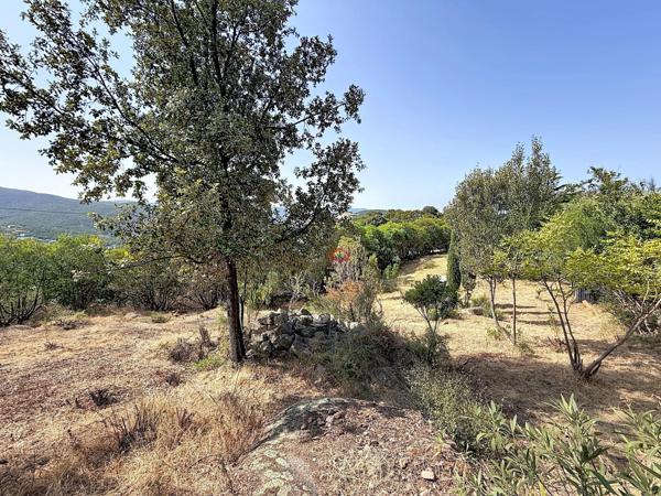 Terrain AGOSTA-MOLINI avec 2 permis