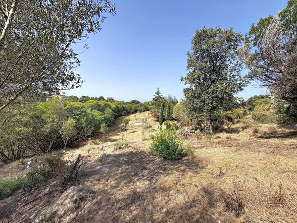 Terrain AGOSTA-MOLINI avec 2 permis