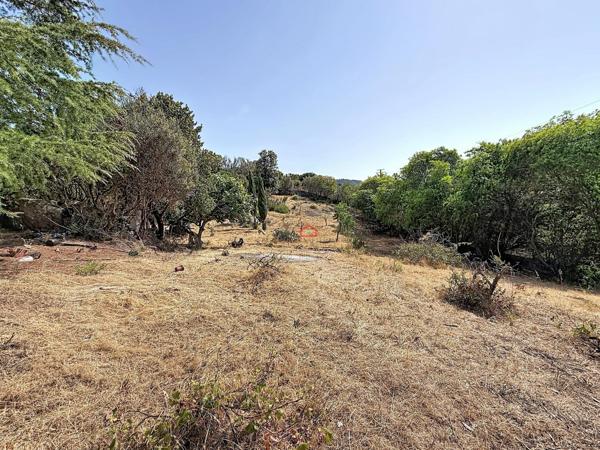 Terrain AGOSTA-MOLINI avec 2 permis