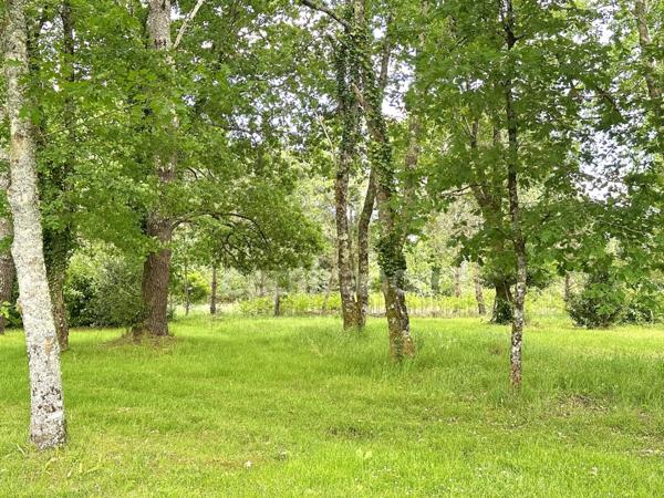 BIGANOS (33)- LES ARGENTIERES-Maison à vendre 5 pièces-180m²-3000m² de nature