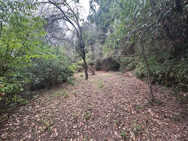 Maison Carcassonne vue cité médiévale