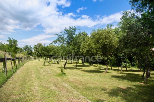 Entre Uzès et La Roque-sur-Cèze, Éden Provençal : Mas du XVIIIe & Son Domaine Privé sur 3,3 hectares